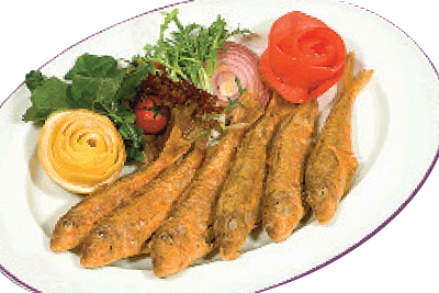 Barbun